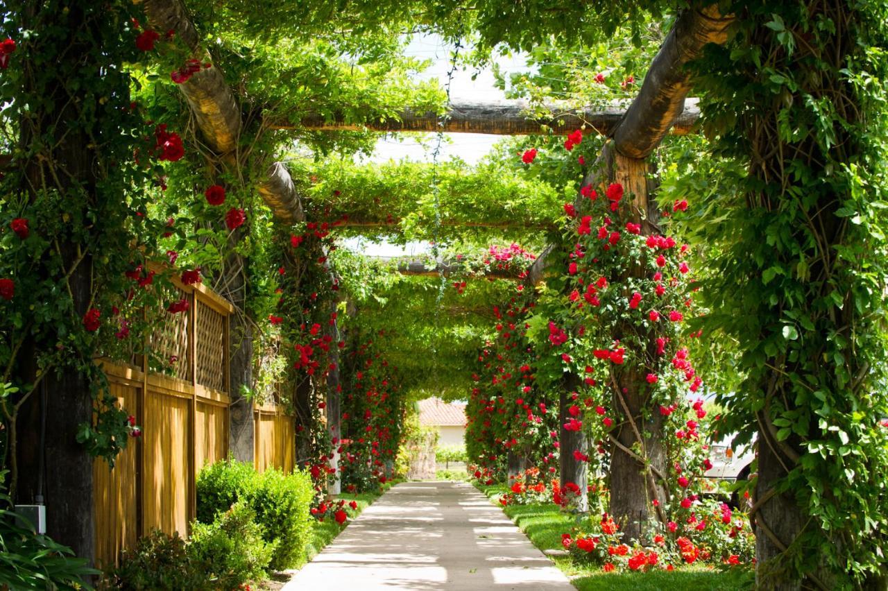 South Coast Winery Resort & Spa Temecula Esterno foto